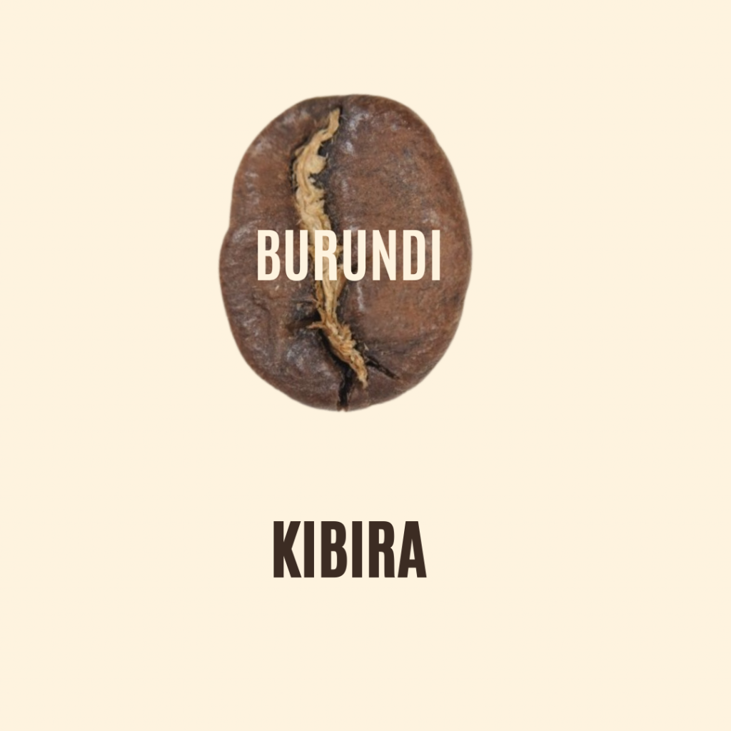 Café de Kibira, Burundi